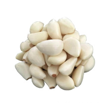 iqf frozen Pure White Garlic dice 4 mm paste puree portion segment cloves good price bulk package